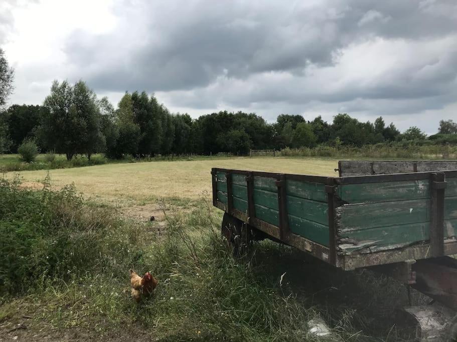 Le Cottage - Maison De 6 A 8 Personnes - La Ferme Du Try Frasnes-lez-Gosselies Εξωτερικό φωτογραφία